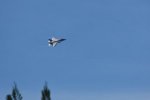 Dcim17987/DSC_2044