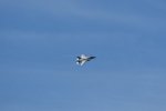 Dcim17987/DSC_2045