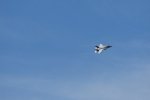 Dcim17987/DSC_2046