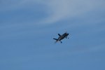 Dcim17987/DSC_2062