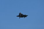 Dcim17988/DSC_2137