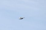 Dcim17988/DSC_2217