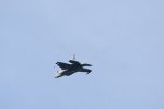 Dcim17989/DSC_2286