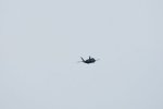 Dcim17990/DSC_2356
