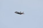 Dcim17990/DSC_2372