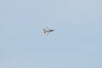 Dcim17990/DSC_2386