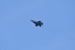 Dcim17990/DSC_2394