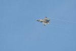 Dcim17990/DSC_2396