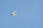 Dcim17990/DSC_2399