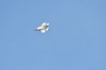 Dcim17990/DSC_2401