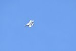 Dcim17990/DSC_2404