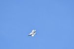 Dcim17990/DSC_2405