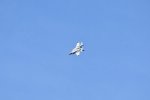 Dcim17990/DSC_2406