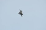 Dcim17990/DSC_2445