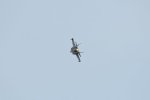 Dcim17990/DSC_2446