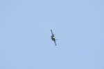 Dcim17990/DSC_2447