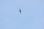 Dcim17990/DSC_2449