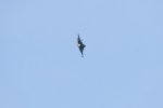 Dcim17990/DSC_2450