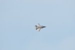 Dcim17990/DSC_2460