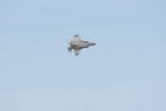 Dcim17990/DSC_2466