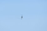 Dcim17990/DSC_2470