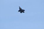 Dcim17991/DSC_2484