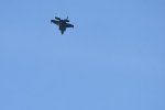 Dcim17991/DSC_2502