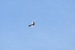 Dcim17991/DSC_2507