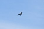 Dcim17991/DSC_2509