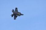 Dcim17991/DSC_2539