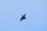 Dcim17991/DSC_2541