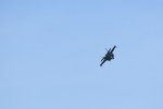 Dcim17991/DSC_2542