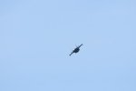Dcim17991/DSC_2544