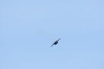 Dcim17991/DSC_2545