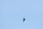 Dcim17991/DSC_2548