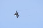 Dcim17991/DSC_2568