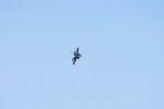 Dcim17991/DSC_2585