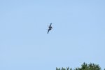 Dcim17991/DSC_2586
