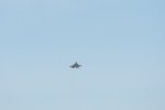 Dcim17991/DSC_2589