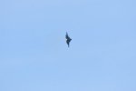 Dcim17991/DSC_2592