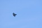 Dcim17991/DSC_2596