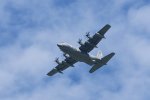 Dcim17993/DSC_2668