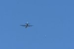 Dcim17993/DSC_2699