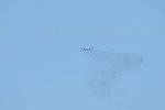 Dcim17994/DSC_2782