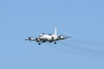 Dcim17994/DSC_2796