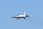 Dcim17994/DSC_2797