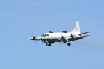 Dcim17994/DSC_2803