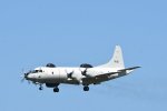Dcim17994/DSC_2807