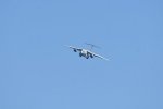 Dcim17994/DSC_2838