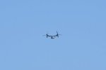 Dcim17995/DSC_2868